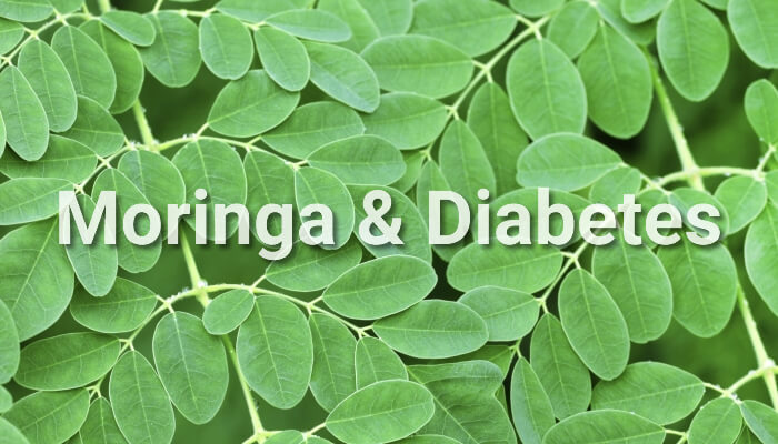 Moringa Para La Diabetes Cuales Son Sus Beneficios Y Como Se Toma